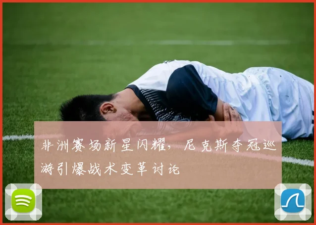 非洲赛场新星闪耀，尼克斯夺冠巡游引爆战术变革讨论