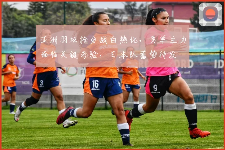 亚洲羽坛抢分战白热化，男单主力面临关键考验，日本队蓄势待发