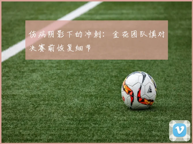 伤病阴影下的冲刺：金花团队慎对决赛前恢复细节 - 中国体彩网