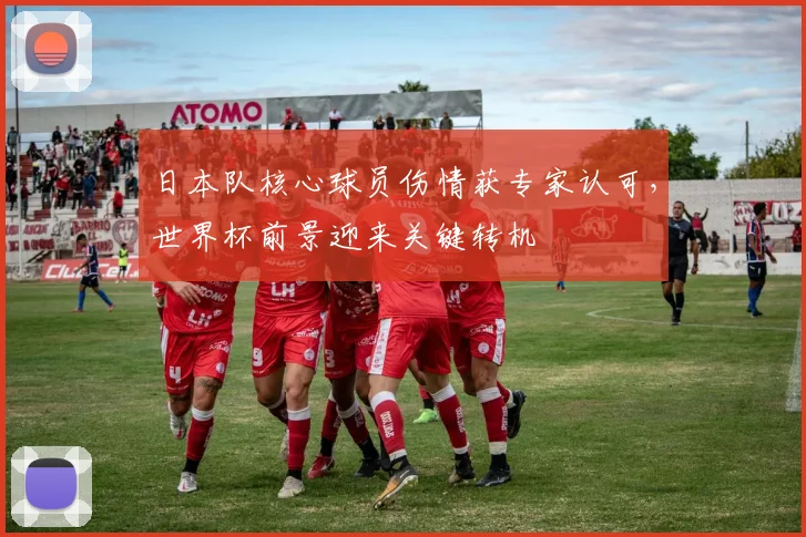 日本队核心球员伤情获专家认可，世界杯前景迎来关键转机
